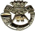 DCLI Cap Badge