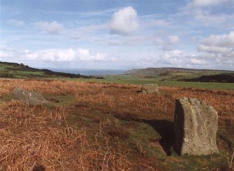 Ramsdale: Megalithic Standing Stones